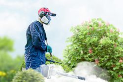 Обработка сада от паразитов - необходимые меры и их регулярность  в Волгограде
